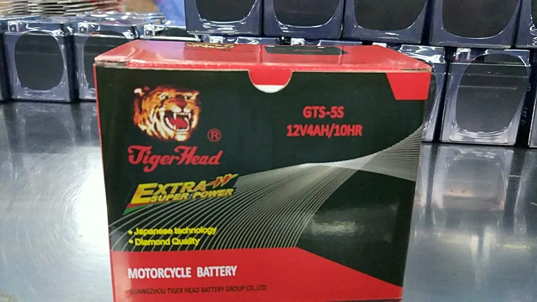 12V 4ah Gts-5s Gel Mf Maintenance Free High Performance Rechargeable Lead Acid Motorcycle Battery