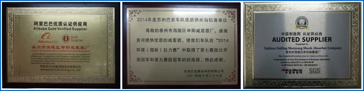 4X4 off Road Coilover Suspension