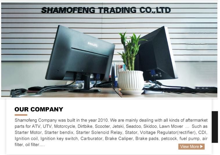 5746 Starter Motor for Briggs & Stratton 393499 394943 399169 490420 494198 494990 494990 John Deere Am106883 Am38136 Am39285 LG490420 LG497401