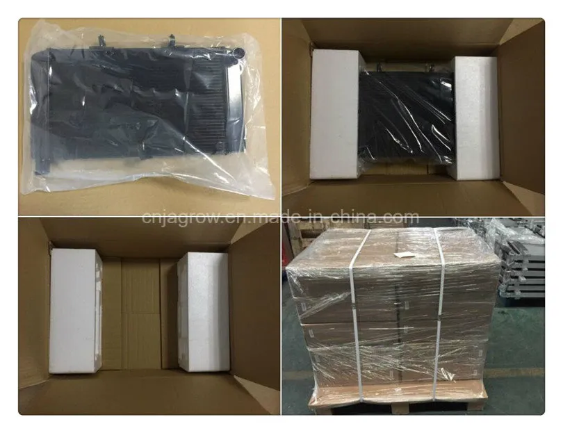 Aluminum Motorcycle Radiator for Suzuki Sv1000 03-08