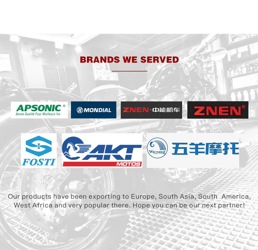 Motorcycle Parts Cylinder Block Kit for Honda WH100 (GCC100) WH110 (GGC110)