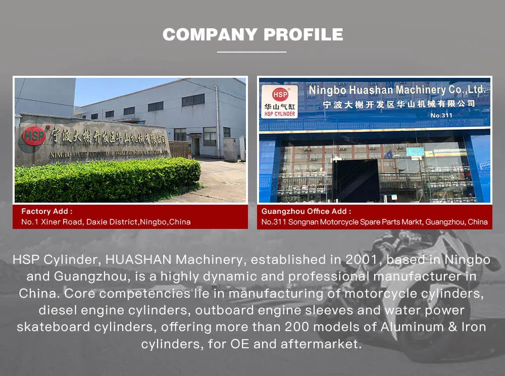 Motorcycle Parts Cylinder Block Kit for PIAGGIO NR50(4) NR70