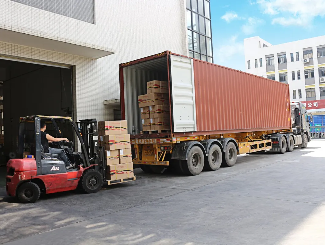 Motorcycle Parts Motorcycle Crankcase Cover for 70cc 90cc 100cc