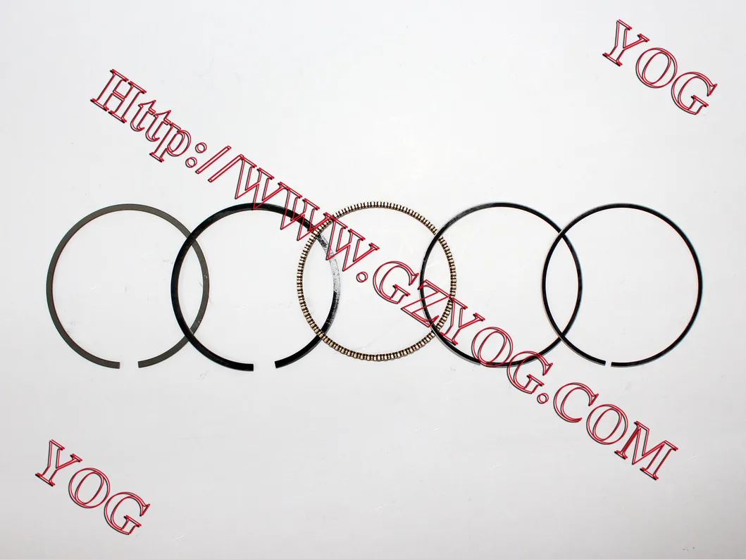 Motorcycle Parts Motorcycle Piston Rings Bajaj/Cg125/Gy6-125