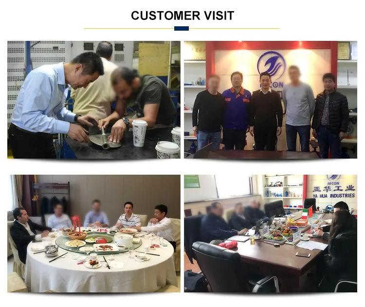 OEM Forging Aluminium Alloy Malleable Cast Iron Hand Lever