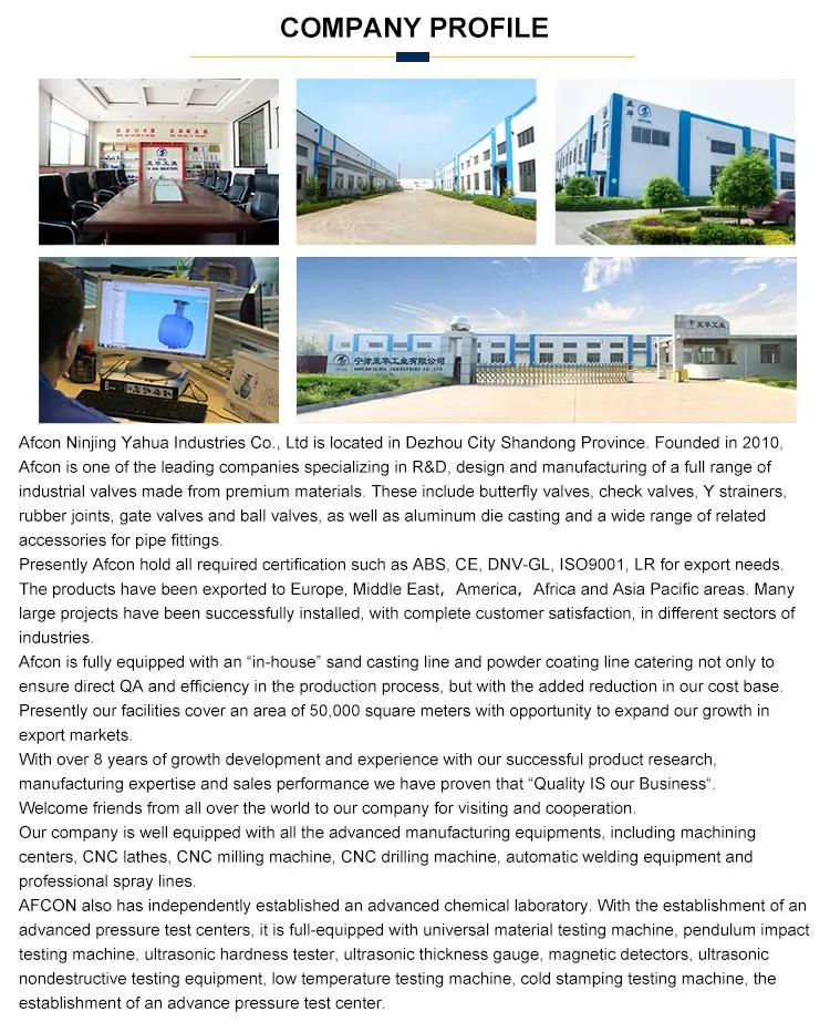 OEM Forging Aluminium Alloy Malleable Cast Iron Hand Lever