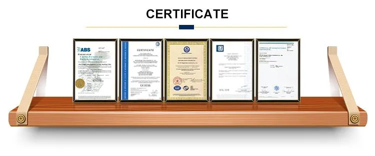 OEM Forging Aluminium Alloy Malleable Cast Iron Hand Lever