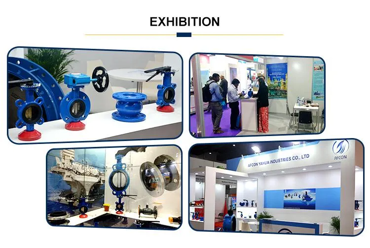 OEM Forging Aluminium Alloy Malleable Cast Iron Hand Lever