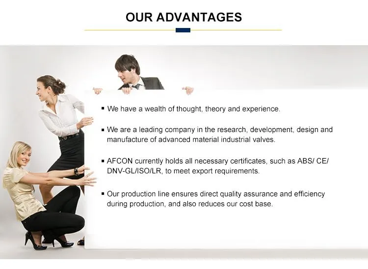 OEM Forging Aluminium Alloy Malleable Cast Iron Hand Lever