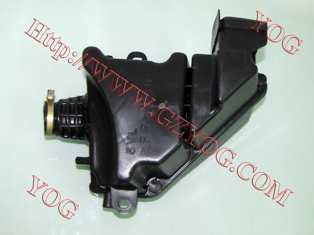 Yog Motorcycle Parts Motorcycle Air Filter for Gy6125 Ly150