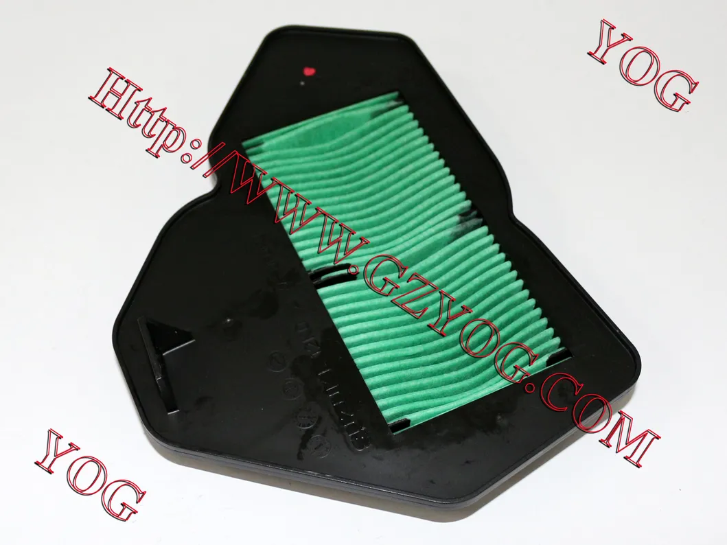 Yog Motorcycle Parts Motorcycle Air Filter for Gy6125 Ly150