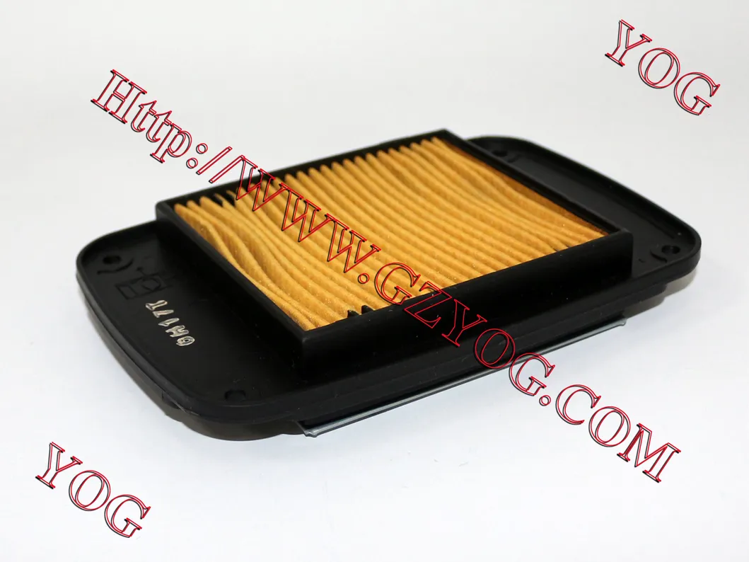 Yog Motorcycle Parts Motorcycle Air Filter for Gy6125 Ly150