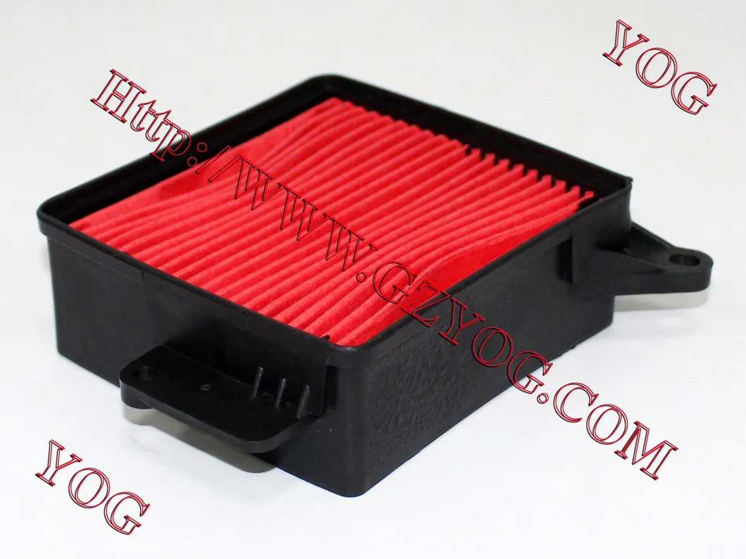 Yog Motorcycle Parts Motorcycle Air Filter for Gy6125 Ly150