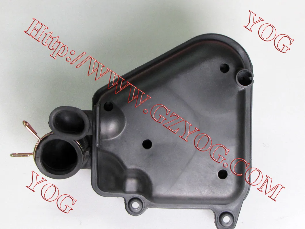 Yog Motorcycle Parts Motorcycle Air Filter for Gy6125 Ly150