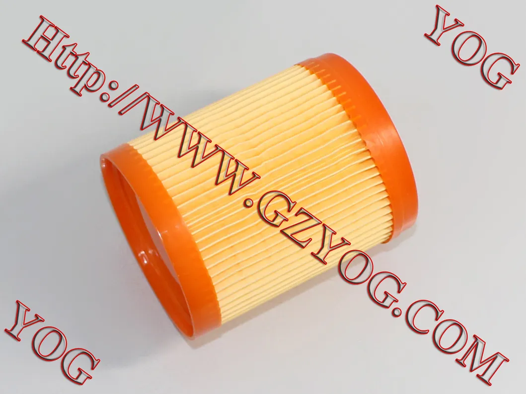 Yog Motorcycle Parts Motorcycle Air Filter Gy6125