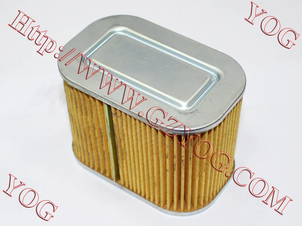 Yog Motorcycle Parts Motorcycle Air Filter Gy6125