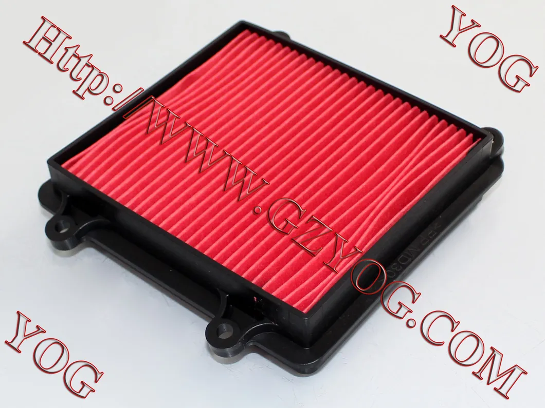 Yog Motorcycle Parts Motorcycle Air Filter Gy6125