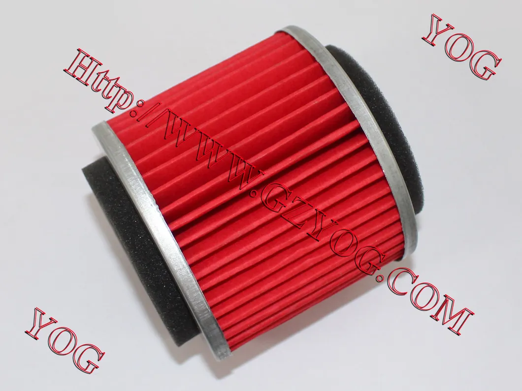 Yog Motorcycle Parts Motorcycle Air Filter Gy6125