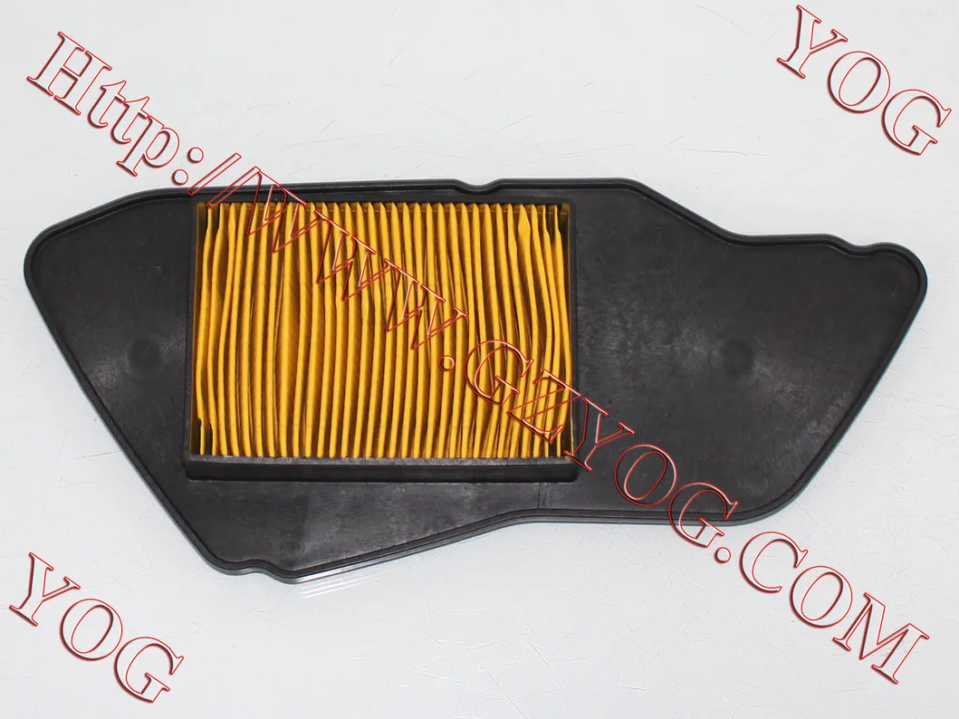 Yog Motorcycle Parts Motorcycle Air Filter Gy6125